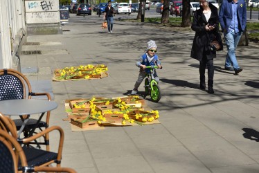 Zdjęcie wykonane z okazji