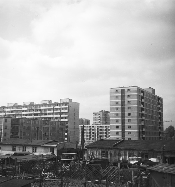<strong>Muranów</strong>, 1961