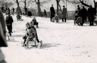 Zimowe szaleństwo na górce