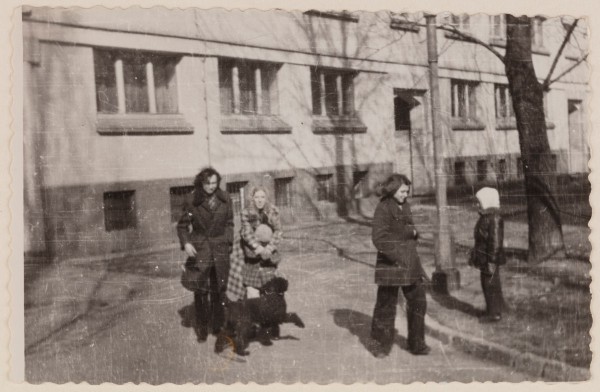 <strong>Dzielna 7a</strong>, 1972