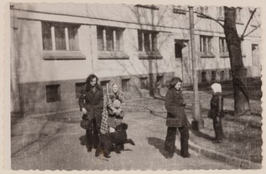 Mieszkańcy podwórka przy