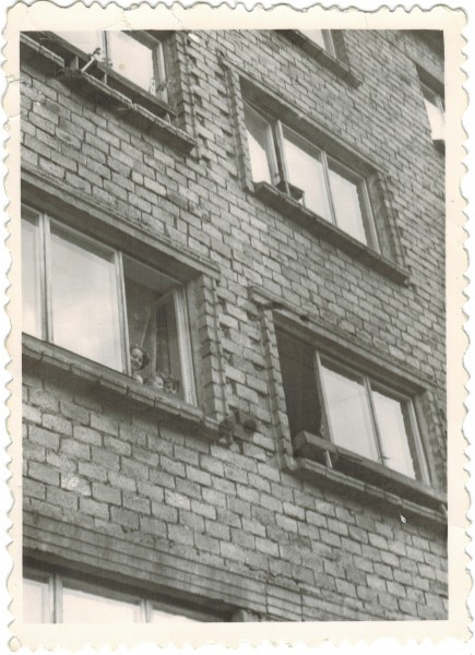 <strong>Dzielna 15</strong>, 1952