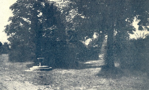 <strong>Ogród Krasińskich</strong>, 1949