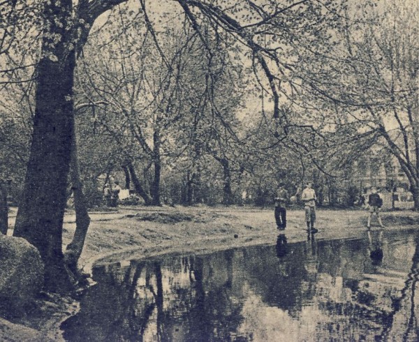 <strong>Ogród Krasińskich</strong>, 1958