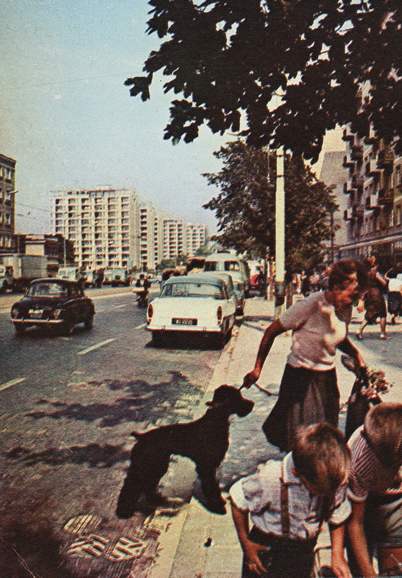 Warszawianka na spacerze z 