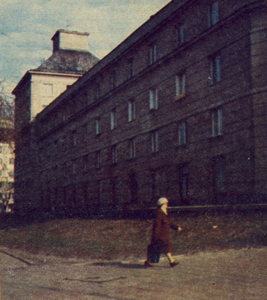 <strong>Andersa</strong>, 1983