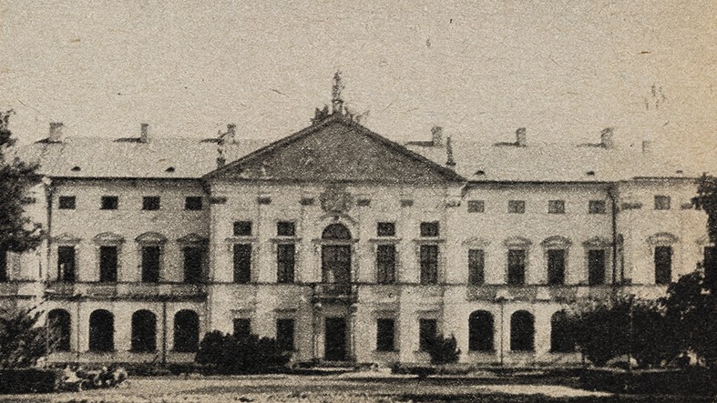 Widok na Pałac 
