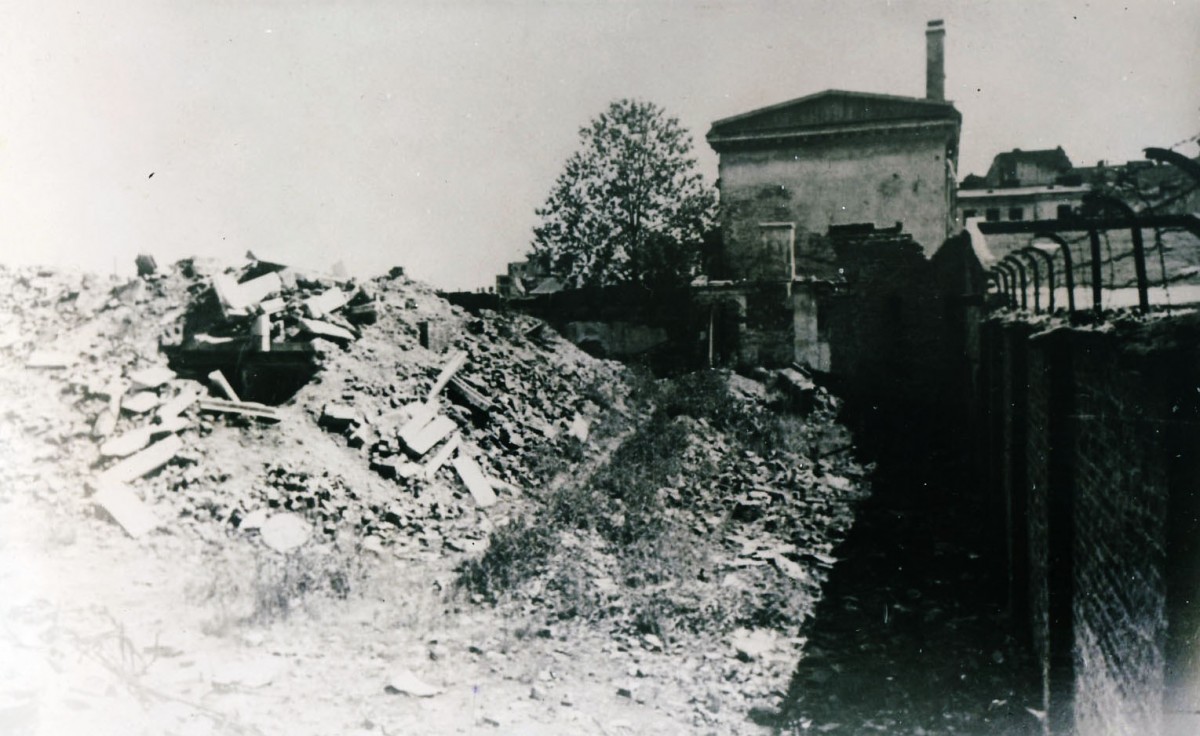Widok na Pałac 