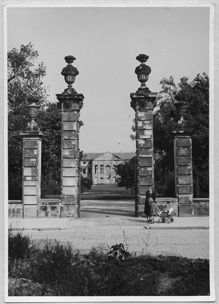 <strong>Plac Krasińskich</strong>, 1950