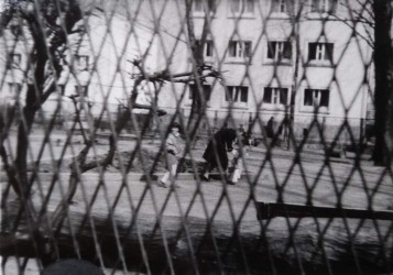 Widok na plac zabaw