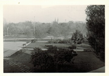 Widok z mieszkania