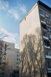 _20_00175xx681.jpg