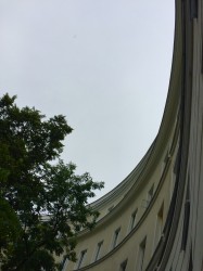 img_1479.jpg
