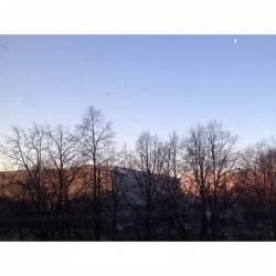 Poranny widok na muzeum Polin.