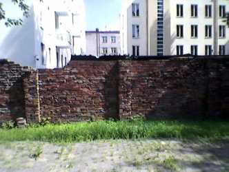 Stawki 10/Dzika 4. Mur