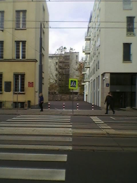 Stawki 10/Dzika 4. Mur 