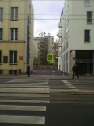 Stawki 10/Dzika 4. Mur